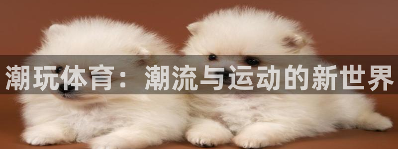 球客岛：潮玩体育：潮流与运动的新世界