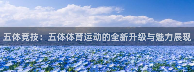 球客岛：五体竞技：五体体育运动的全新升级与魅力展现
