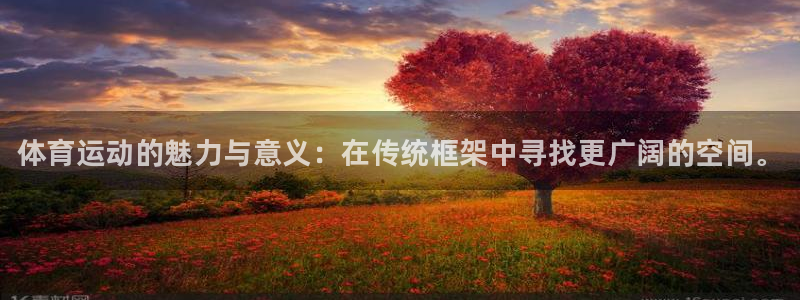 球客岛：体育运动的魅力与意义：在传统框架中寻找更广阔的空间。