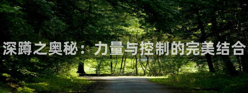 球客岛：深蹲之奥秘：力量与控制的完美结合