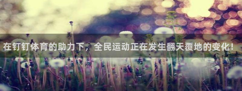 球客岛
