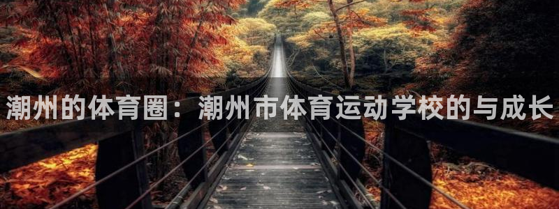 球客岛：潮州的体育圈：潮州市体育运动学校的与成长
