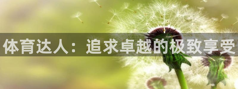 球客岛：体育达人：追求卓越的极致享受