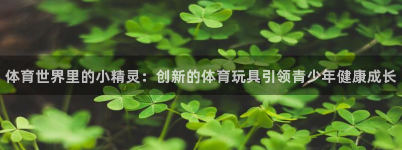 球客岛：体育世界里的小精灵：创新的体育玩具引领青少年健康成长
