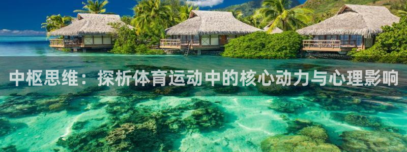 球客岛：中枢思维：探析体育运动中的核心动力与心理影响