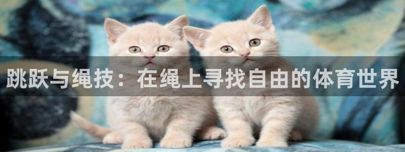 球客岛：跳跃与绳技：在绳上寻找自由的体育世界