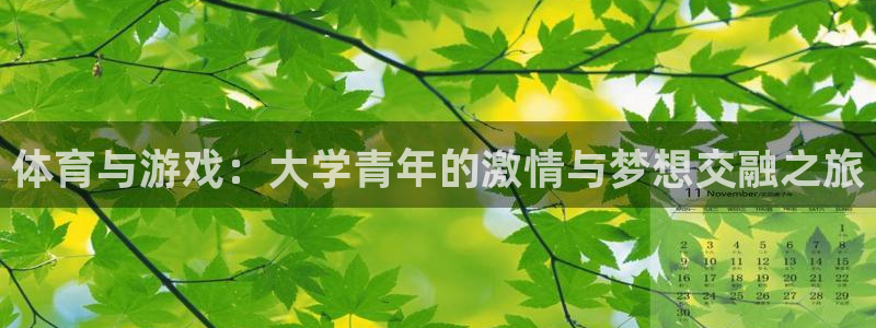 球客岛：体育与游戏：大学青年的激情与梦想交融之旅