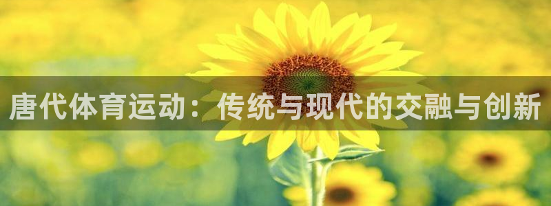 球客岛：唐代体育运动：传统与现代的交融与创新